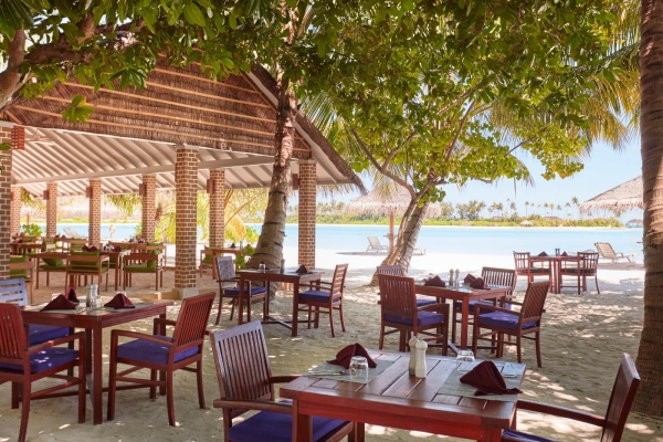 Island Pizza